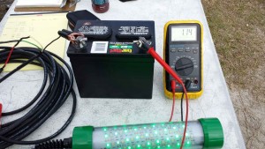 Gator Tough green led test